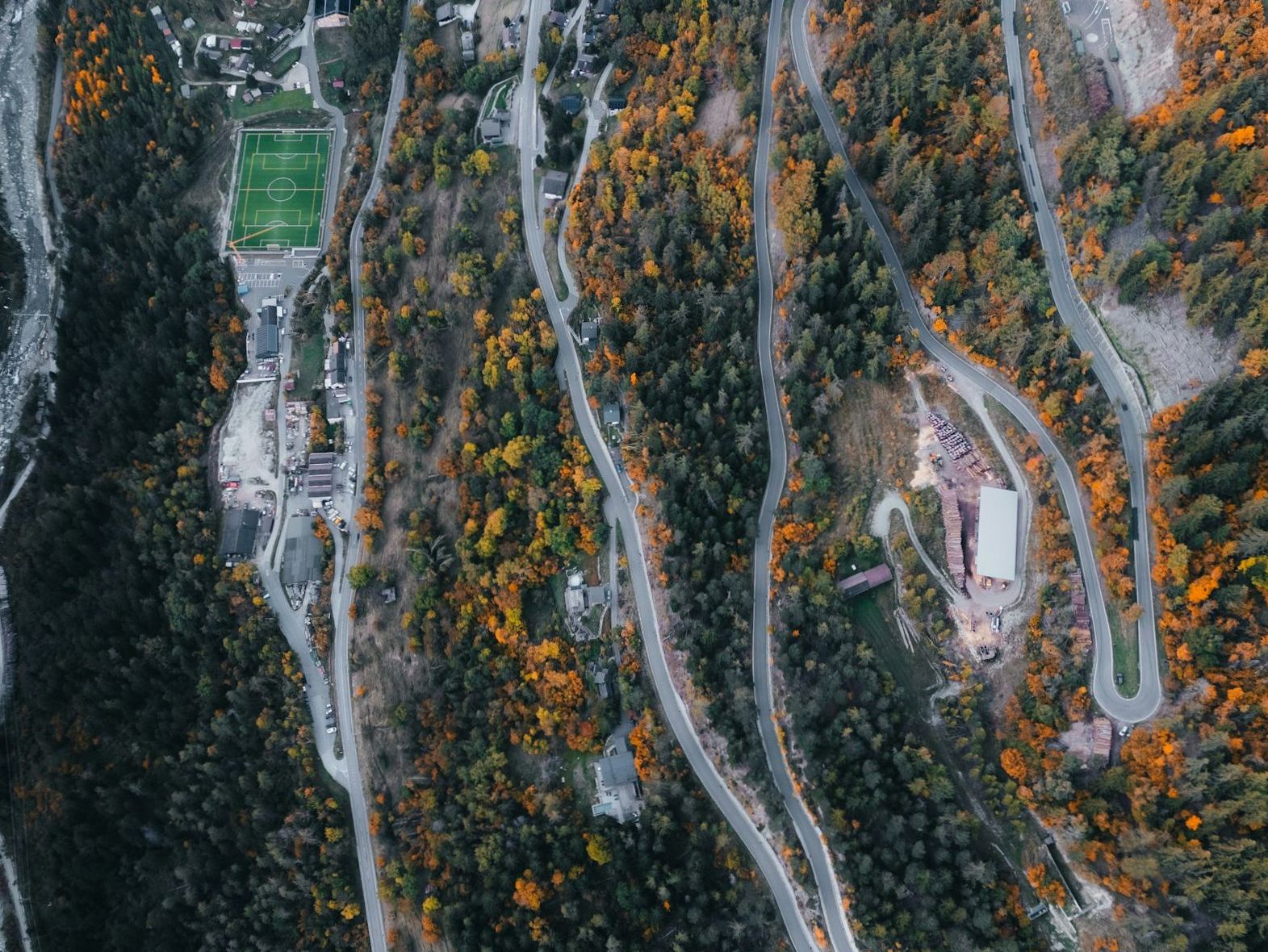 Forested highland landscape