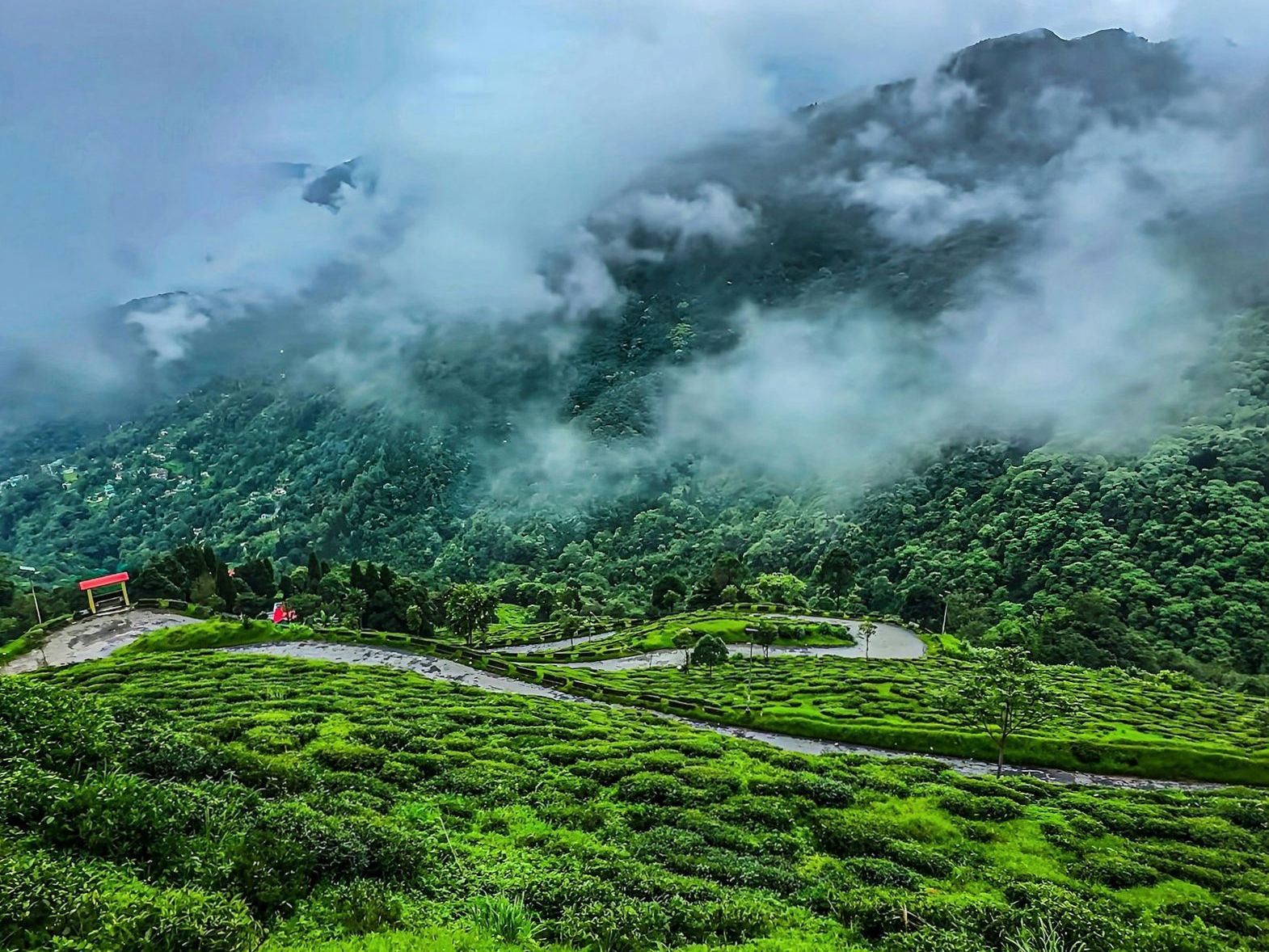 Mountains and forest representing a nature trip